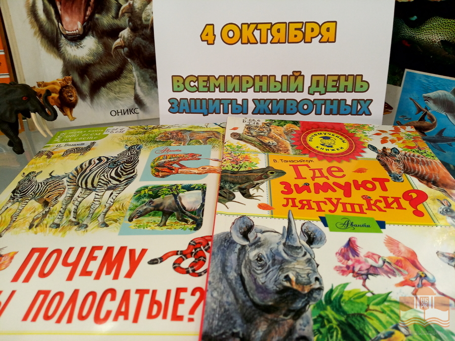 «Дикие, домашние – все такие важные»: тематическая книжная выставка в Центре детского чтения