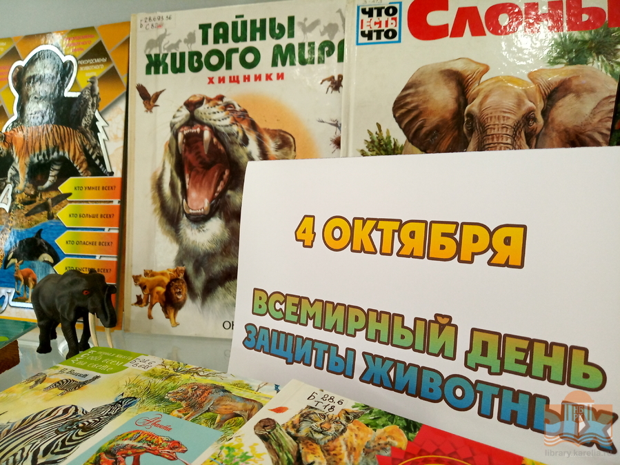 «Дикие, домашние – все такие важные»: тематическая книжная выставка в Центре детского чтения