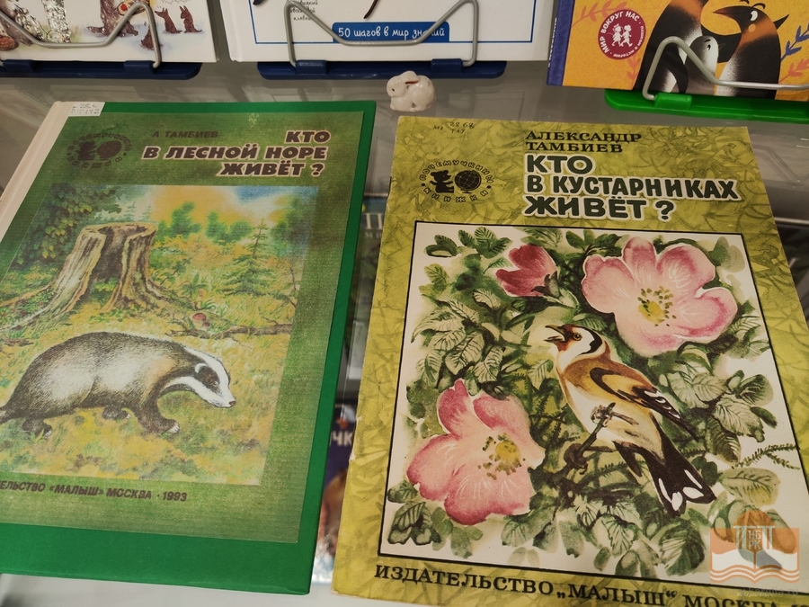 «Дикие и домашние – все такие важные»: книжная выставка в Центре детского чтения