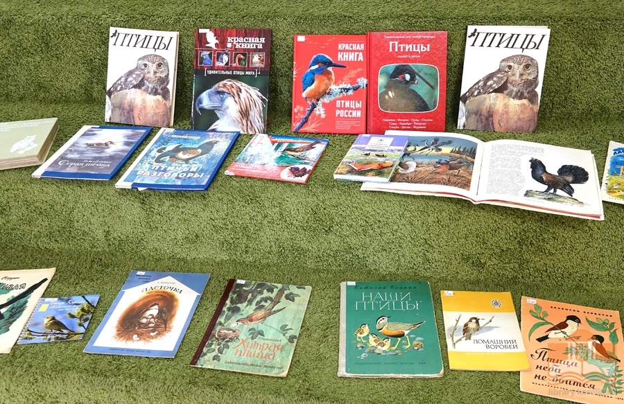 На творческой программе «Птицы на книжных страницах»