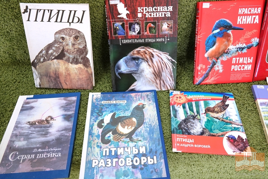 На творческой программе «Птицы на книжных страницах»